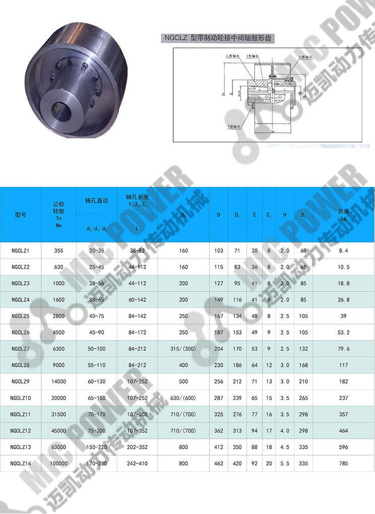 NGCLZ帶制動(dòng)輪接中間軸聯(lián)軸器結(jié)構(gòu)圖參數(shù).jpg